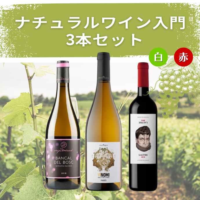 ナチュラルワイン入門3本セット – 下町ワイン Casa ヒストリア