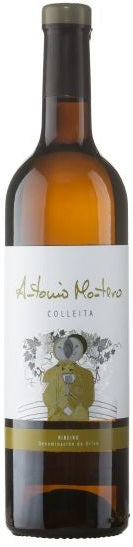 コジェイタ 2023