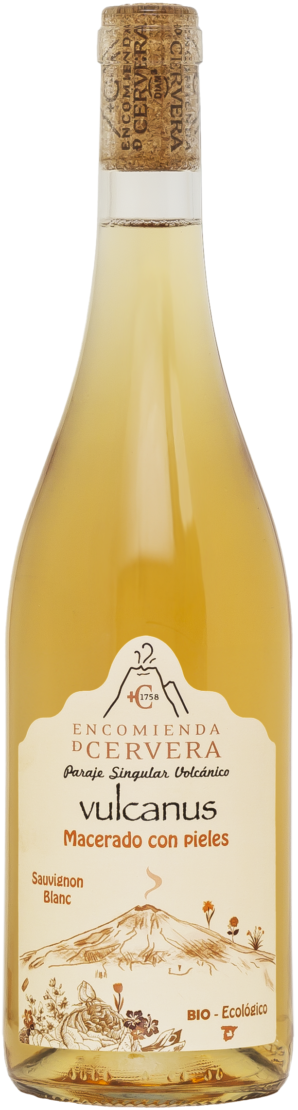 ブルカヌス・ナランハ 2023