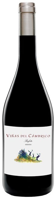 カンブリコ・ルフェテ・ミランダ 2021