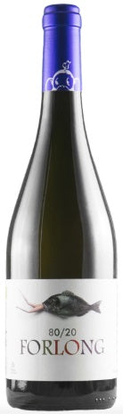 フォーロング 80/20 2023