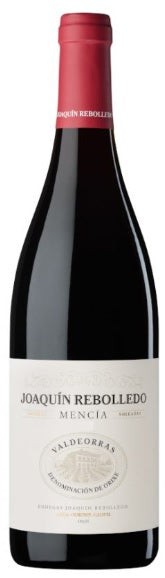 ホアキン・レボジェド・メンシア 2024